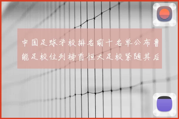 中国足球学校排名前十名单公布鲁能足校位列榜首恒大足校紧随其后