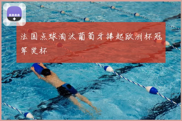 法国点球淘汰葡萄牙捧起欧洲杯冠军奖杯