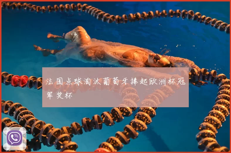 法国点球淘汰葡萄牙捧起欧洲杯冠军奖杯
