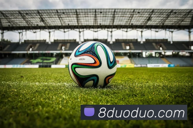 App Interface Preview