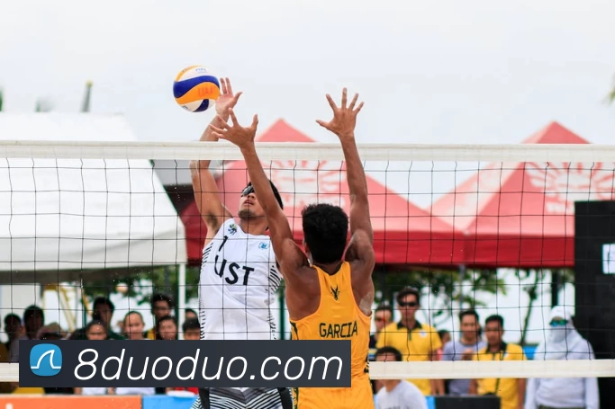 半岛网页版APP 封面图